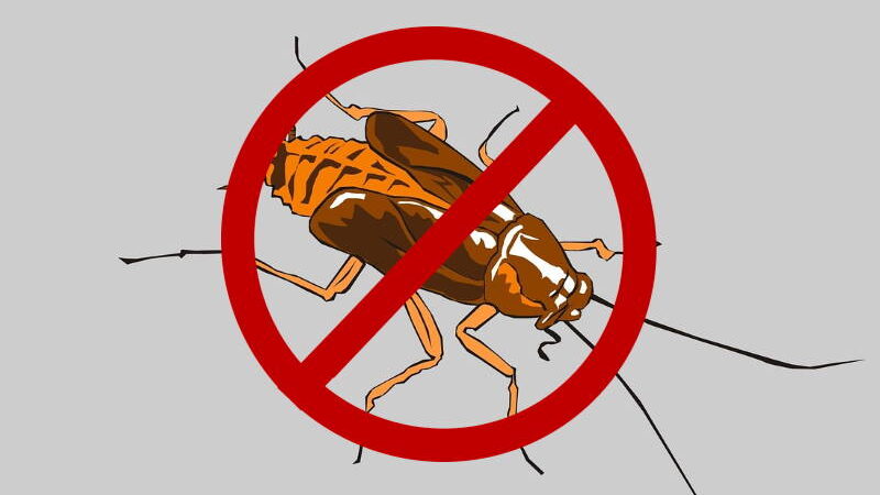 SASVIM PRIRODNO, BEZ OTROVNIH SASTOJAKA: Evo kako se riješiti komaraca, muha, žohara, mrava…