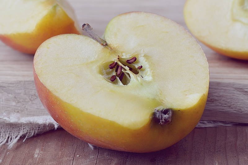 OTROV ILI LIJEK: Što je prava istina o sjemenkama jabuke? Jesu li opasne po život?
