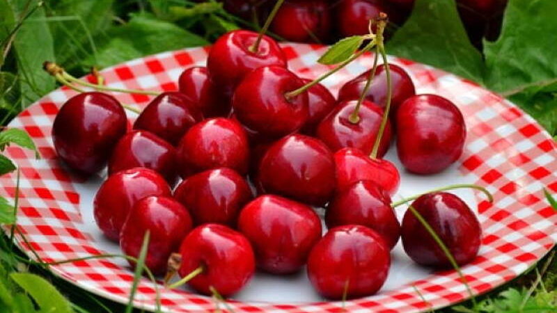 Jedite trešnje što češće, učinit ćete sjajnu stvar za svoje zdravlje